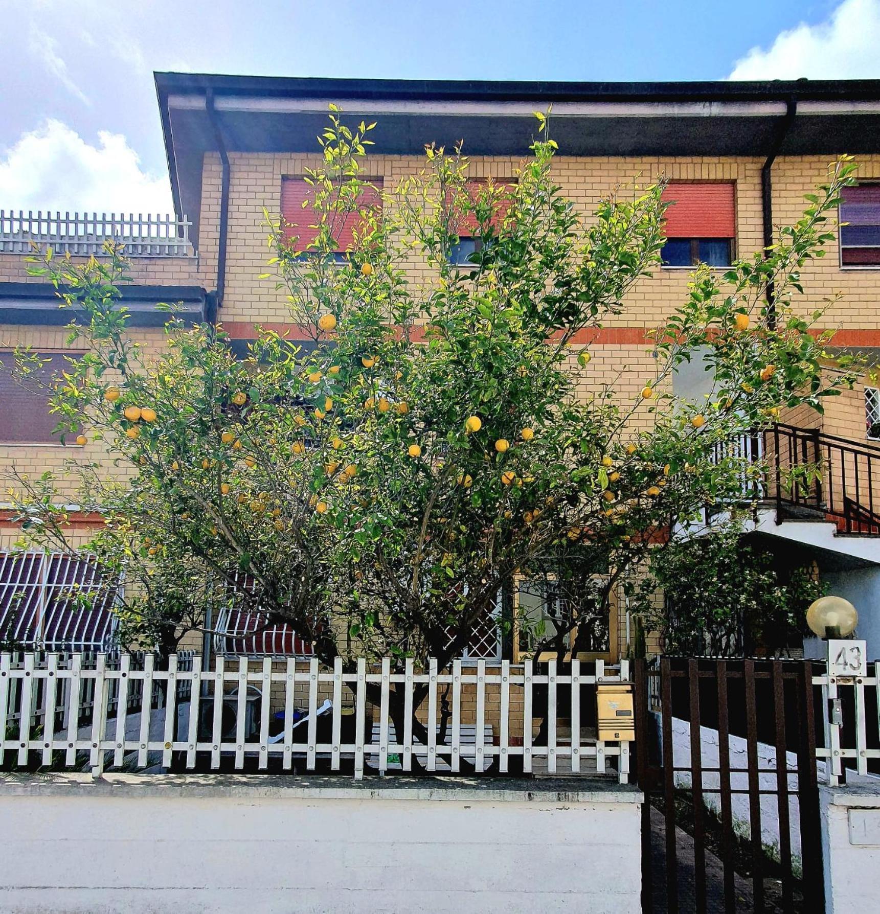 Apartmán Lemon Tree House Ostia Antica Exteriér fotografie
